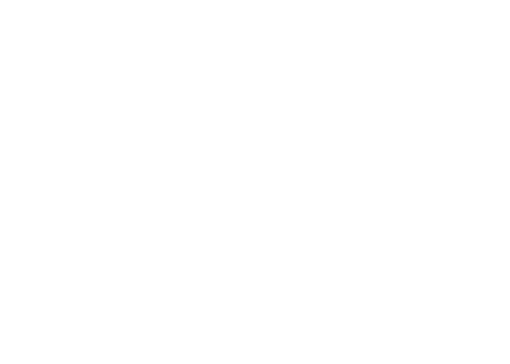 Brand asset